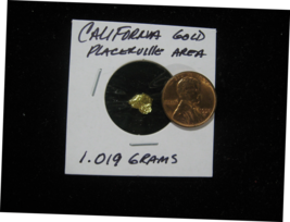 CALIFORNIA GOLD NUGGET PLACERVILLE AREA 1.019 GRAMS HIGH PURITY - $118.99