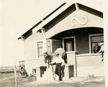 Horse Being Led Down Steps from a House Horse with Head Out Window B&amp;W P... - $31.76