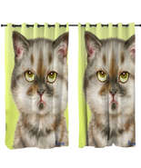 Cats Funny Faces Unsatisfied Brown Tabby Kitten Curtain - $1,060.31 MXN+