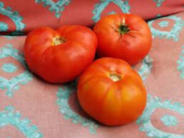 50 Seeds Chalk&#39;S Early Jewel Tomato Juicy Tomatoe Vegetable Edible Food Fresh Ga - $9.32