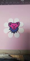 Grateful Dead  Dancing Bear Daisy Vinyl  Sticker Deadhead  Car Decal - $3.99