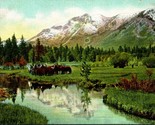 Vtg Postcard 1910s Tallac California CA Mount Tallac and Band of Horses ... - $9.76