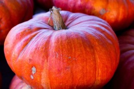 10 Cinderella Pumpkin Seeds Pumpkin Pie Halloween #Cinderellapumpkin Fast Shippi - £7.20 GBP