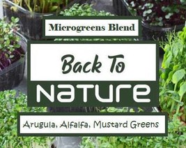 Arugula, Alfalfa Mustard Greens Microgreen Seed Blend Microgreens Seeds Microgre - £4.33 GBP