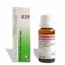 Dr. Reckeweg R29 (Theridon) (22ml) - £10.89 GBP