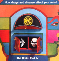 1971 LIFE Magazine November 26, THE BRAIN Part 4 Chemistry Of Madness, Drugs - £15.60 GBP