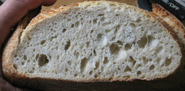 SAN FRANCISCO SOURDOUGH STARTER yeast flour mix sally BEST SELLER NEW - £7.03 GBP