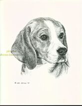#42 BEAGLE *  dog art print * Pen and ink drawing * Jan Jellins - $12.38