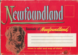 VINTAGE 1950&#39;S NEWFOUNDLAND CANADA POSTCARD FOLDER 9 CARDS  - £9.28 GBP