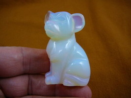 (Y-DOG-CH-709) White albino CHIHUAHUA Mexican dog dogs figurine gemstone... - $17.53