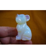 (Y-DOG-CH-709) White albino CHIHUAHUA Mexican dog dogs figurine gemstone... - $17.53