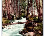 Ashland Creek Canyon Ashland Oregon OR DB Postcard O17 - $3.91