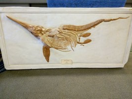 Ichthyosaur Dinosaur Replica 55&quot; Cast Mold Model Museum Display  - $1,484.01