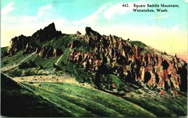 Squaw Saddle Mountain Wenatchee Washington WA UNP 1910s DB Postcard - $13.81