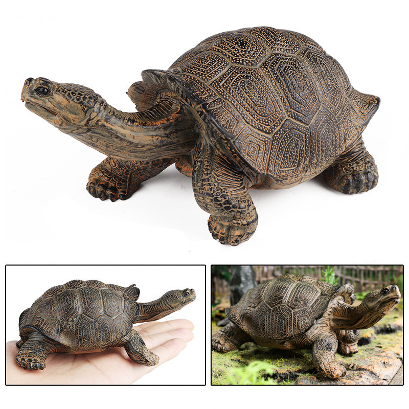 Galápagos Tortoise Realistic Plastic Animal Figure Collectible Toy - $9.89+