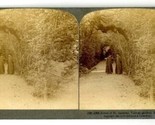 Underwood Stereoview Bower of St Anthony Vatican Gardens Rome Italy 1905 - £13.98 GBP