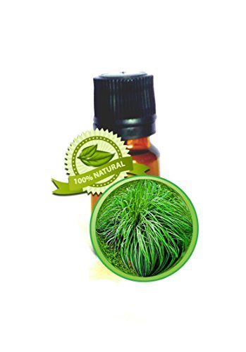 Citronella (Java) Essential Oil - 5ml (1/6oz) - 100% Pure Cymbopogon Winteria -