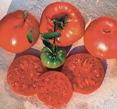 SKM 50 Seeds Crnkovic Yugoslavian Tomato Juicy Tomatoe Vegetable Edible ... - $10.97