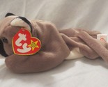 Ty Beanie Baby Canyon 5th Generation  - $7.91