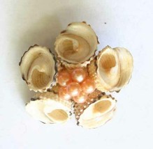 Elegant Pink Faux Pearl &amp; Shell Flower Brooch 1960s vintage 1 5/8&quot; - £9.89 GBP