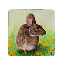 Betsy Drake Rabbit Neoprene Coaster Set of 4 - £27.14 GBP