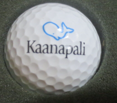 Kā‘anapali Golf Courses in Lahaina, Maui GOLF BALL - $7.43