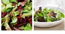Gourmet Mixed Lettuce Seeds in your Garden for Planting Fresh Garden Seeds - £12.54 GBP+