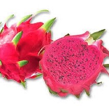 Fresh New 20 Purple Dragon Fruit Pitaya Pitahaya Strawberry Pear Hylocer... - £11.21 GBP