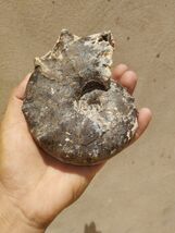 Item image 7