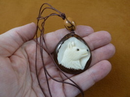 tne-wol-772a) white howling Wolf TAGUA NUT Necklace Carving Vegetable wild dogs - £17.66 GBP