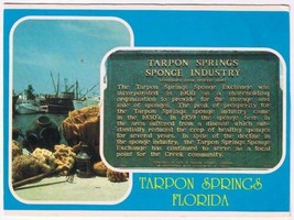 Florida Postcard Tarpon Springs Sponge Industry Sponges Greek Community - £2.33 GBP