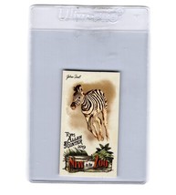 2019 Topps Allen and Ginter Mini New to the Zoo #NTTZ15 Zebra Foal - £1.56 GBP