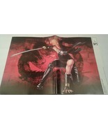 Ninja Gaiden Dragon Sword/Apollo Justice: Ace Attorney 15.5''x11.5'' Poster