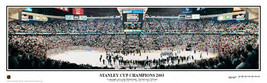 New Jersey Devils 2003 Stanley Cup Champions Unframed Panoramic Poster 4012 - $49.95