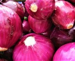 Red Grano Onion Seeds 200 Seeds Non-Gmo Fast Shipping - £6.41 GBP