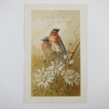 Victorian Greeting Card Congratulations Blue Birds &amp; Daisy Flowers Antiq... - $14.99