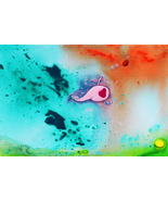 Forget Me Not by John High Quality A4  (210 x297mm) 170 g/m2 Matte Print - $21.00