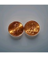 Beauty 2009 Lincoln Penny No Mint Mark Lincoln Sitting On Log Uncirculated - $167.24 MXN
