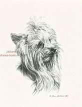 #269 YORKIE Yorkshire Terrier dog art print * Pen and ink drawing by Jan... - $12.50