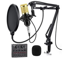 Profession Microphone Sound Card - £69.48 GBP