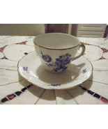 Winterling Bavaria Germany Meissen Bouquet Cup &amp; Saucer #24B - £18.63 GBP