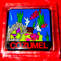 Cozumel vintage under the Sea magnet - $12.14 CAD