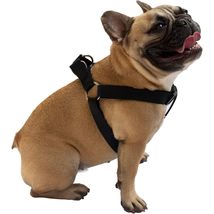 Dog Harness Easy to Use 2 Step Secure Safe Comfortable Firm No Struggle ... - $17.00+
