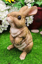 Whimsical Curious Mother Bunny Rabbit Standing Pet Pal Fairy Garden Figu... - $35.99