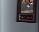 TONY PENA  PLAQUE BASEBALL BOSTON RED SOX MLB   C - $0.01