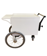 DISPLAY CART  MOBILE Branding Cart Multiuse Cart Party Cart VENDOR CART - $3,197.70