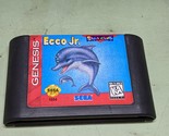 Ecco Jr Sega Genesis Cartridge Only - $10.89