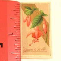 Victorian Trade Card Learn To Do Well Pink Flower Blossoming VTC 5 - £3.91 GBP