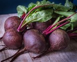 250 Seeds Detroit Dark Red Beet Seeds  Heirloom Organic Non Gmo Fresh Fa... - $8.99