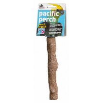 [Pack of 4] Prevue Pacific Perch Beach Branch Medium - 1 count - £42.84 GBP